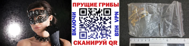 Галлюциногенные грибы мицелий Елизаветинская